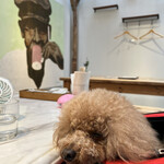 TASTY PLACE THE DINING - 寝てる？ｗ