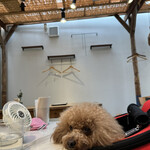 TASTY PLACE THE DINING - エアコンと扇風機で快適♪