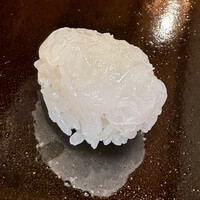 登喜和鮨 新発田本店 - 佐渡産アオリイカ