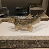 日本橋 蕎ノ字 - 