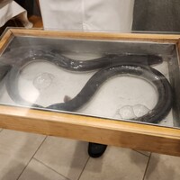 三宅輝 - 