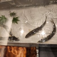 三宅輝 - 