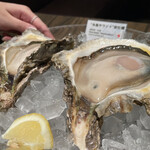 オストレア oysterbar&restaurant  - 