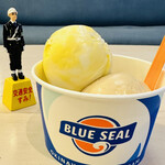 BLUE SEAL - 