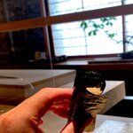 菊鮨 - ノドクロの海苔巻。 〆がノドグロとは、これまた変化球です。 いやでも、ここの極薄のガラスのような香り高い海苔は好きだな。