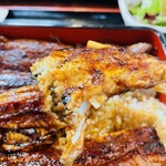 Unagi Akebono - 