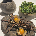 ラ・ヴァガボンド - 