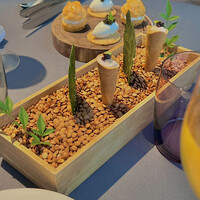 プレヴナンス - 