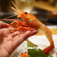 鮨 やまけん 銀座店 - 