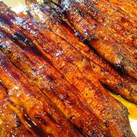 うなぎ蒲焼(1尾)