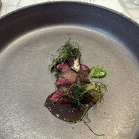 クイントカント - 