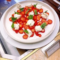 スプレンディード - 