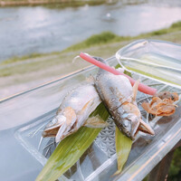 京料理 竹島 ICHIGO -  京料理 竹島 ICHIGO -
