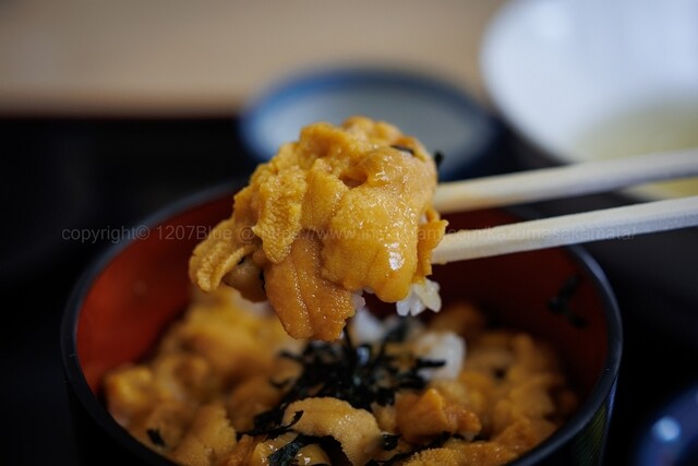 食事処 いさりび - むつ市その他（食堂）の写真