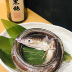 Sushi Urayama - 鱧　入荷