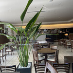 BAR AND GRILL CENTO - 
