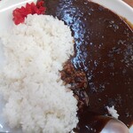 209131851 - カレー並500円(2023.5.6)