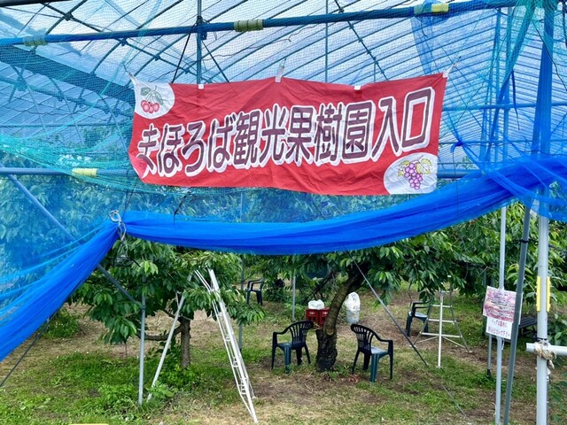 まほろば観光果樹園 - 高畠町その他（スイーツ）の写真