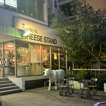 SHIBUYA CHEESE STAND - 