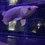 焼肉 拍手喝采 - 