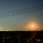 伊藤家のつぼ - 