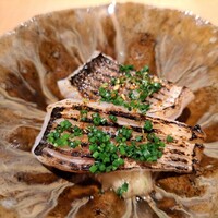 TTOAHISU - 