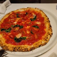 XEX TOKYO / Salvatore Cuomo Bros. - 