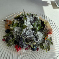 JUTURNA - 