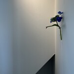 Sumibi Yakitori Fukuhauchi - 壁に紫陽花
      