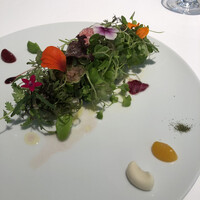 オトワ レストラン - 