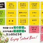 Suteki Miya - サラダバーの食材（2023/06）