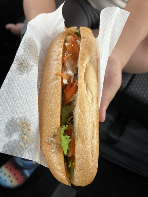 DA NANG STAR
