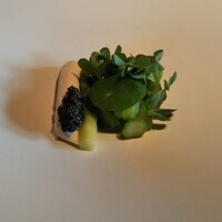 The Jade Room + Garden Terrace - 