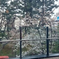 トラットリア グランボッカ - 