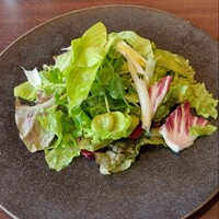 ワカヌイ グリル ダイニング バー 東京 - サラダ