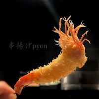 串揚げPyon - 