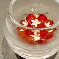 CIRPAS - 