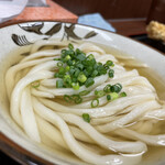 讃岐うどん いわい - ひやあつ(小)