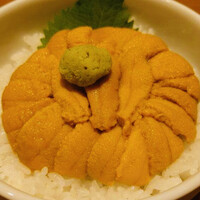 函館うに むらかみ 日本生命札幌ビル店 - 