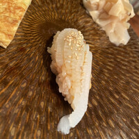 江戸心 山ぼうし - 