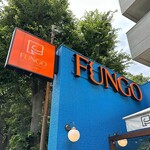 FUNGO - 