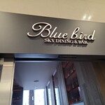 BLUE BIRD - 