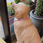 DOG DEPT.+CAFE Karuizawapurinsuten - 招牌犬？(ﾟｰﾟ*?)