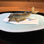 らん亭～ 美日庵 - 天竜川産稚鮎の素揚げ