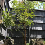 らん亭～ 美日庵 - 暖簾をくぐってすぐの景色