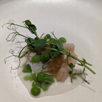 Chisou Nishikenichi - 白ミル貝がメインのお料理