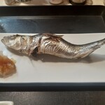 Gompachi - イワシの塩焼