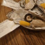 VIGO OYSTERBAR - 