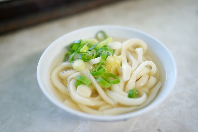 Teuchi Udon Tamura, Ayauta-gun, Japan