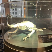 SALONE TOKYO - 